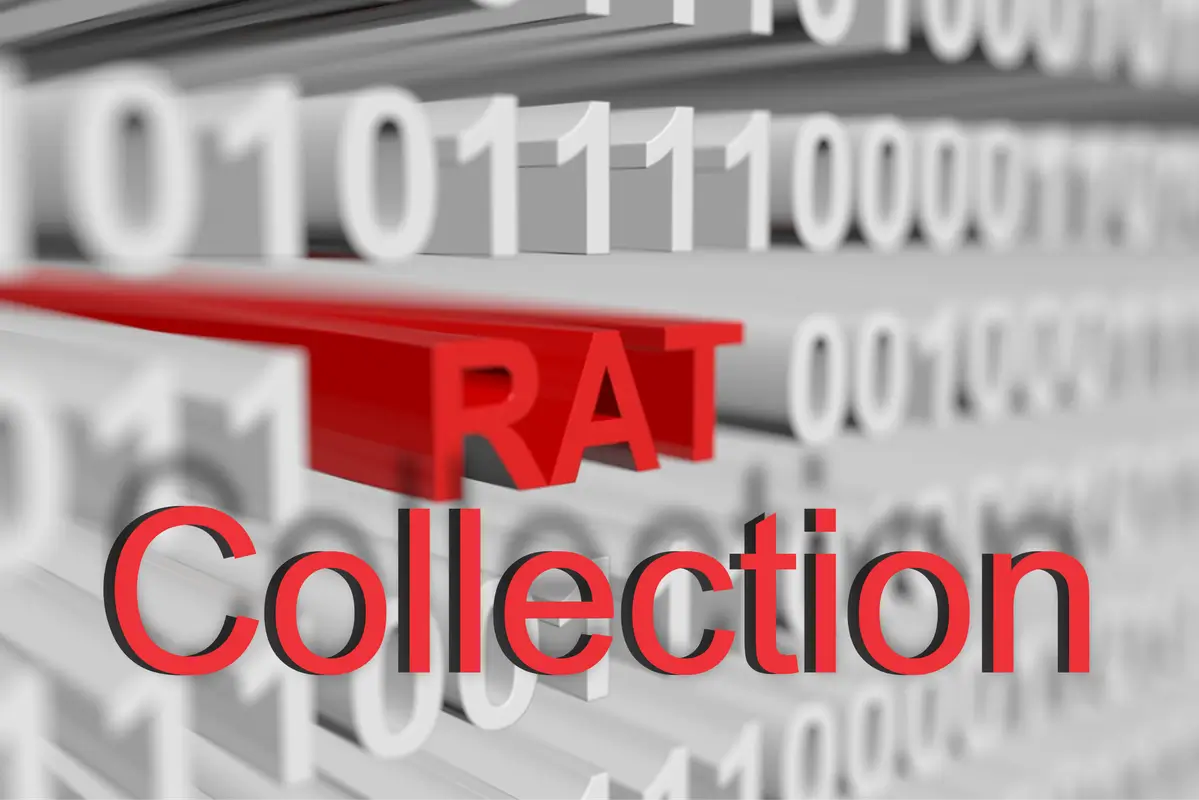 Rat Collections 2024