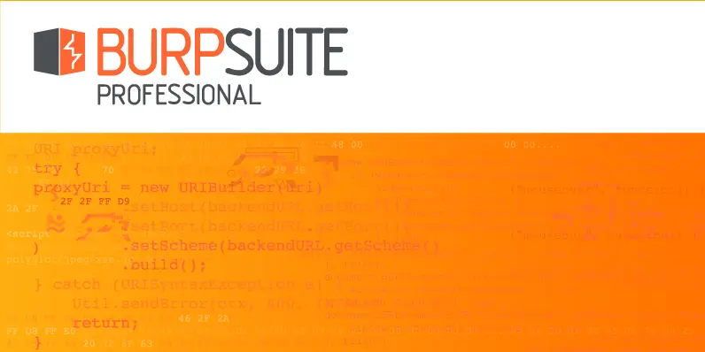 Burp Suite Professional 2022.2.2 Beta