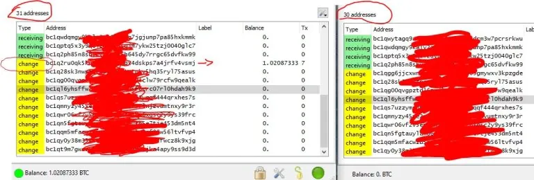 Electrum Fake Balance Flash Tool 2025