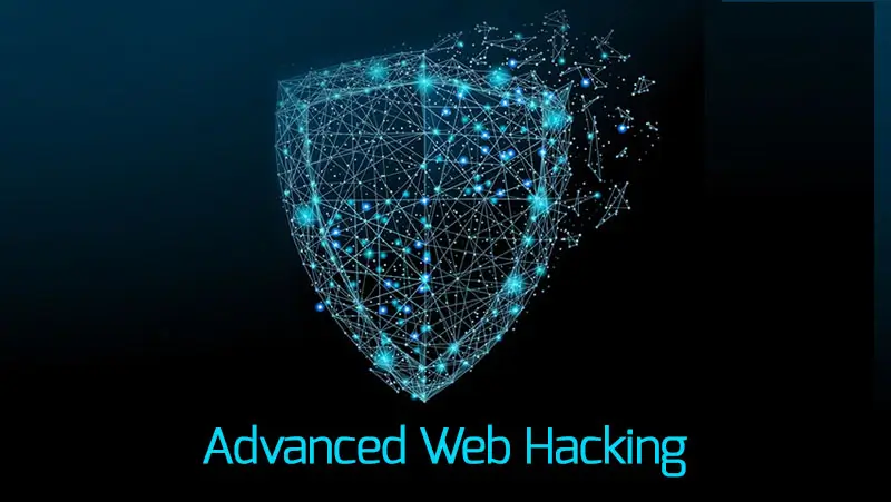 Advance Web hacking tools 2025